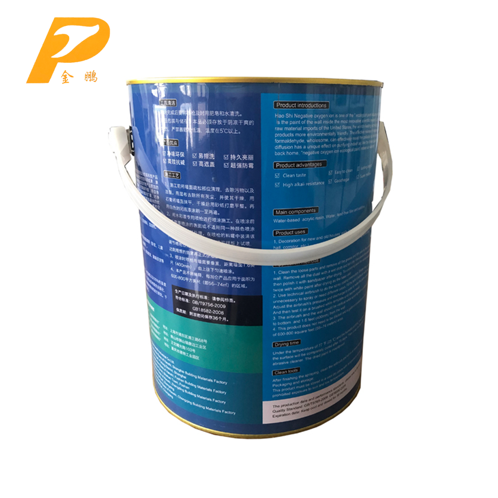 5 gallon metal paint bucket, paint container with plastic lid and handle
